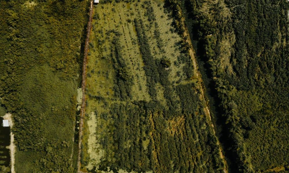 Aerial view of a vacant land parcel bordered by surrounding properties, vegetation, and a public road, illustrating property boundaries and access considerations